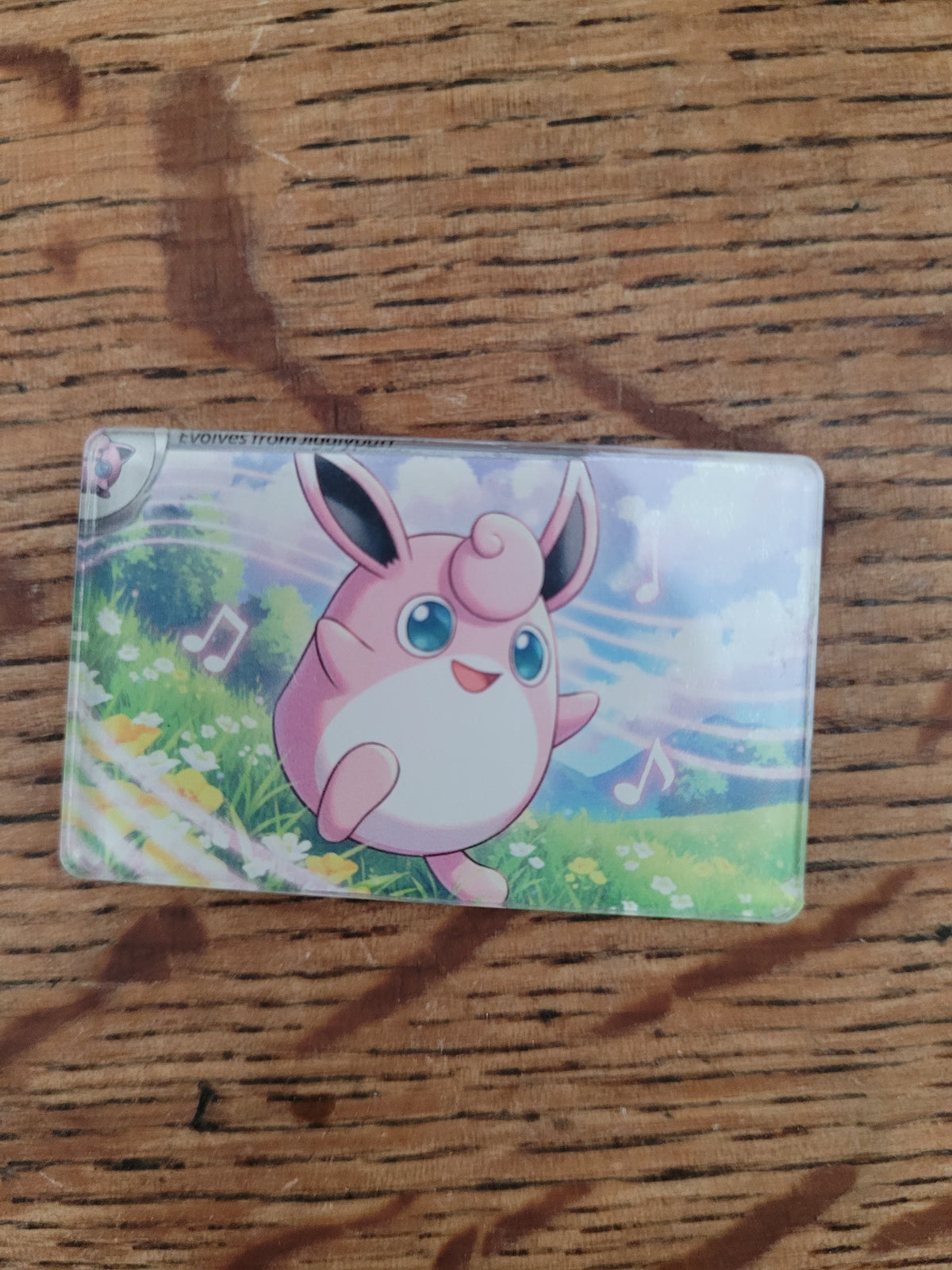 Jigglypuff and Wigglytuff magnet set