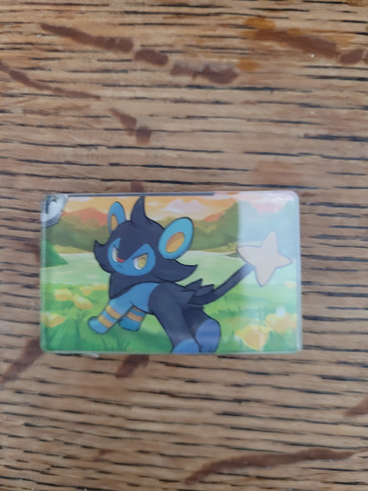 Shinx and Luxio magnet set